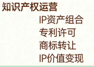 知识产权资产组合管理与运营咨询-盘活存量，优化增量，让知识产权资产为企业创造真金白银