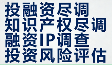 投资/融资知识产权尽职调查——穿透知识产权表象，评估核心资产价值，预警潜在风险，为投资决策提供关键依据