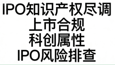 IPO知识产权尽职调查与合规辅导服务——为拟上市企业全面体检知识产权，扫清审核障碍，提升估值故事说服力