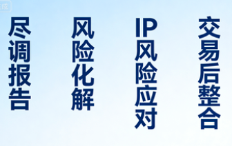 定制化尽调报告与系统性风险化解方案——不止于发现问题，更致力于解决问题，将尽调成果转化为可执行的行动计划