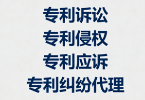 专利侵权诉讼/应诉全程法律服务——技术、法律与策略深度融合，在法庭上捍卫您的创新成果或合法权益