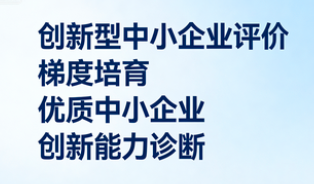 创新型中小企业评价诊断服务——精准把握优质中小企业梯度培育“**站”，夯实成长基础